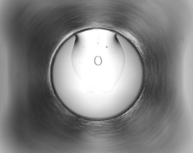 X0000095681280200802051243