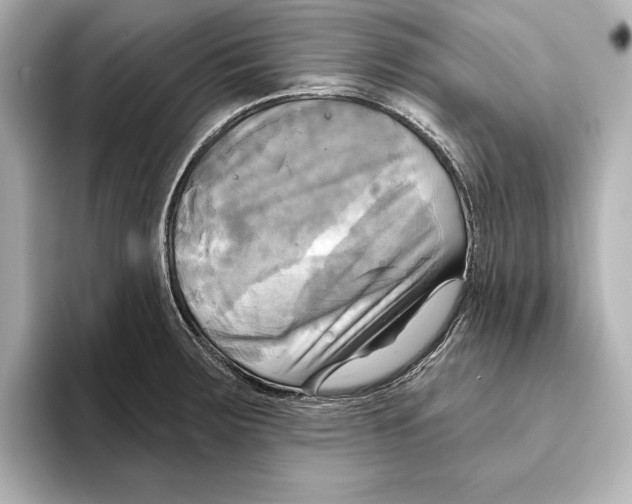 X0000095681283200802051243