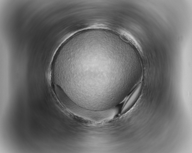 X0000095681284200802051243