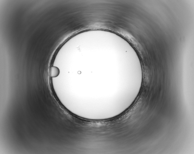 X0000095681286200802051243