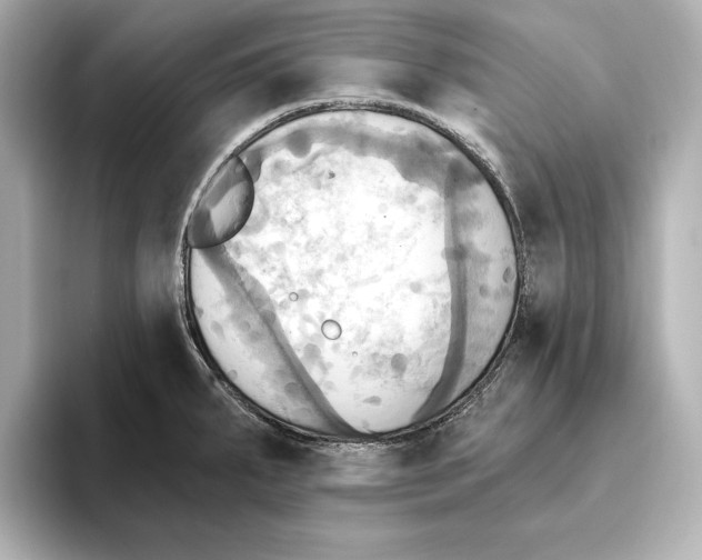 X0000095681287200802051243