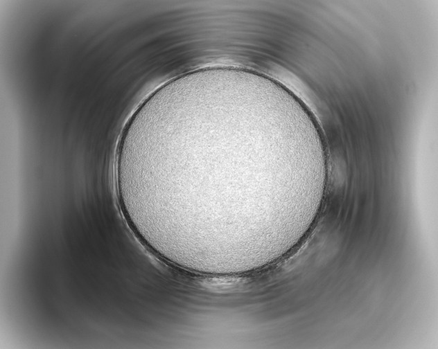 X0000095681290200802051243