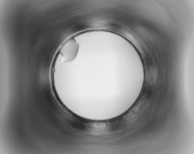 X0000095681291200802051243