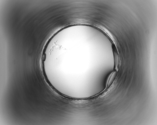 X0000095681293200802051243