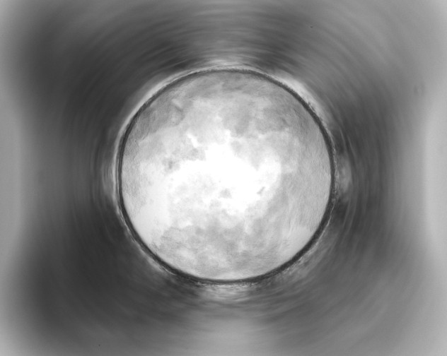 X0000095681294200802051243