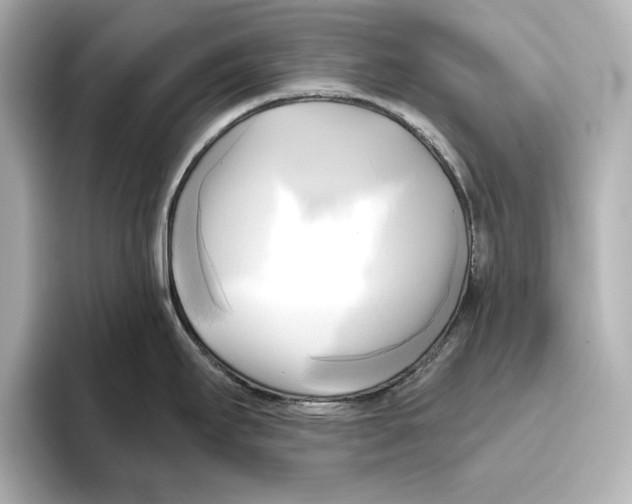 X0000095681295200802051243