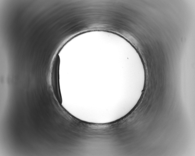 X0000095681296200802051243