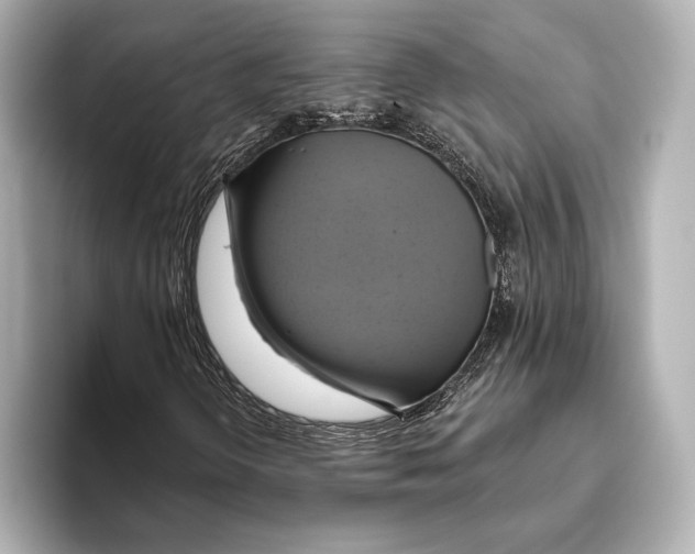 X0000095681298200802051243