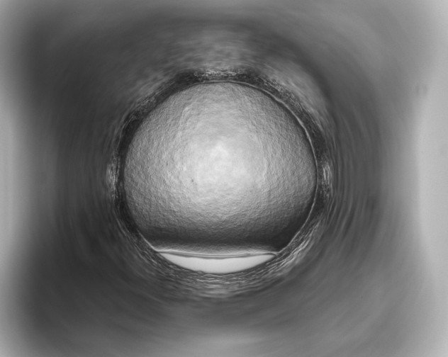 X0000095681300200802051243