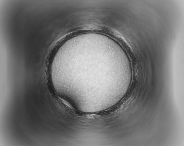 X0000095681304200802051243