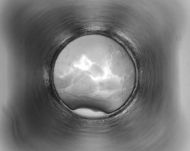 X0000095681305200802051243