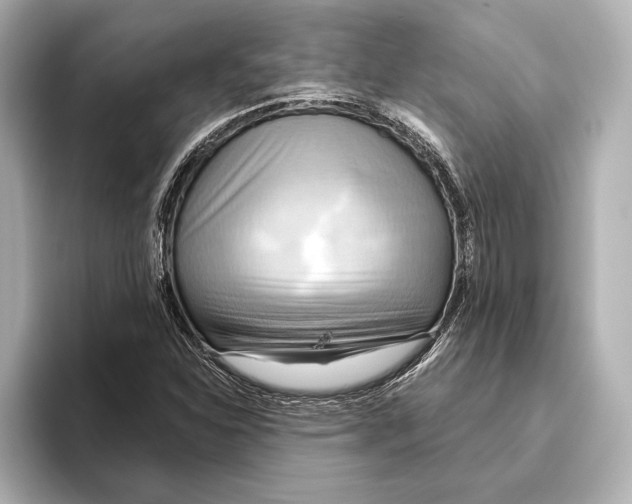 X0000095681310200802051243