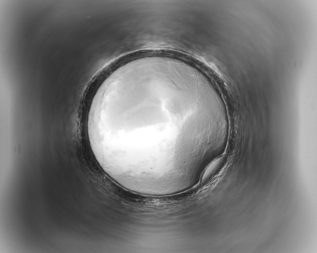 X0000095681311200802051243