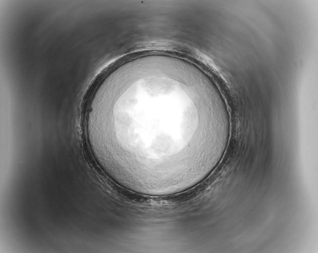 X0000095681312200802051243