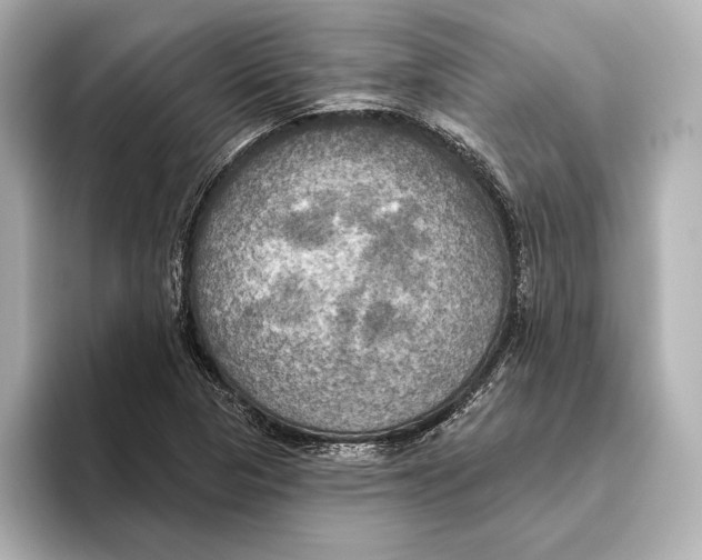 X0000095681313200802051243