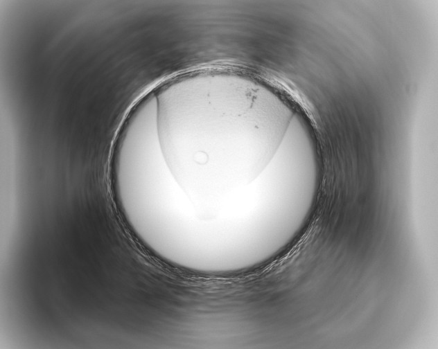 X0000095681316200802051243