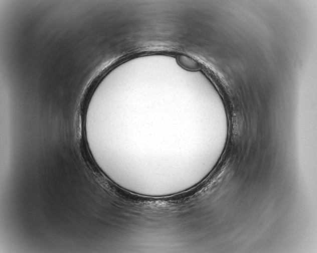 X0000095681317200802051243