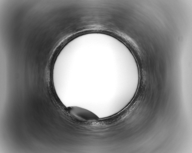 X0000095681318200802051243