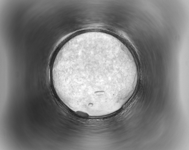 X0000095681320200802051243