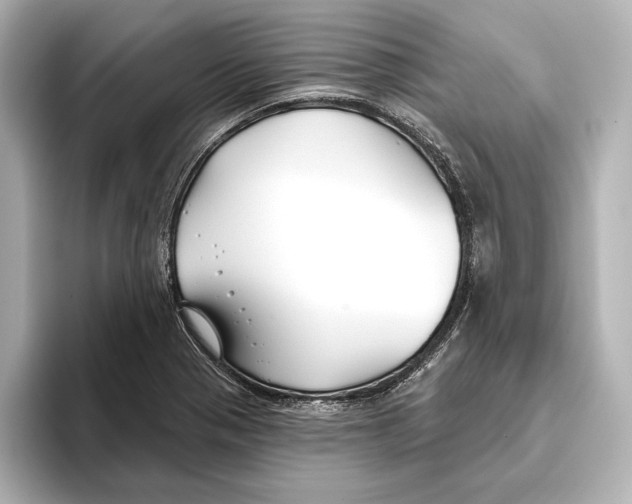 X0000095681321200802051243