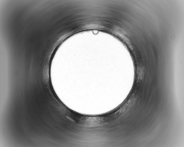 X0000095681322200802051243