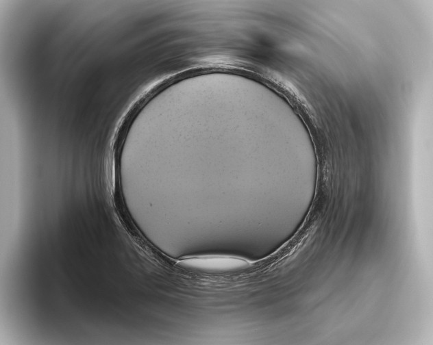 X0000095681323200802051243