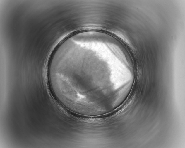 X0000095681325200802051243