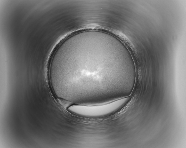 X0000095681326200802051243