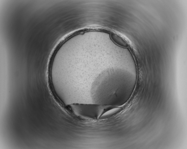 X0000095681327200802051243