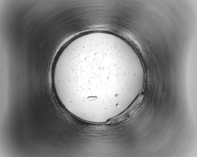 X0000095681328200802051243