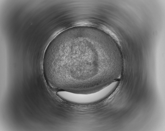 X0000095681330200802051243