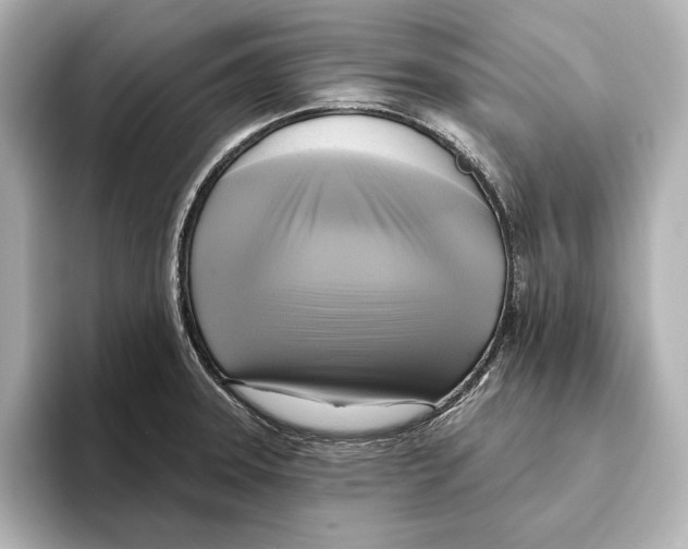 X0000095681331200802051243