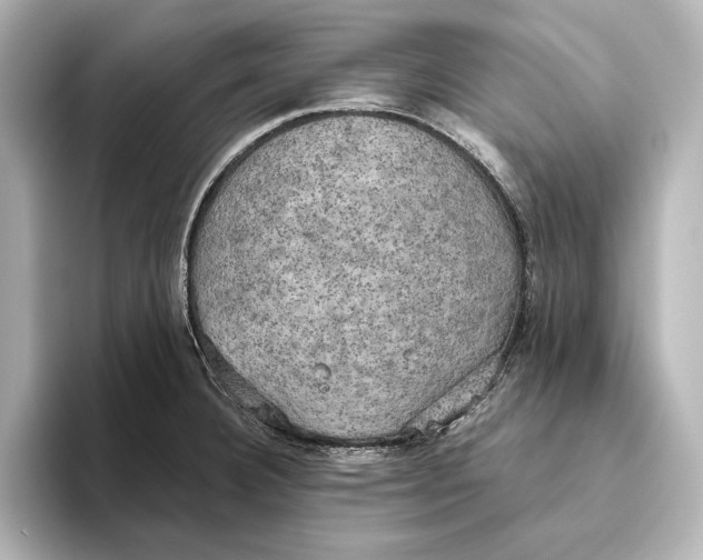 X0000095681332200802051243