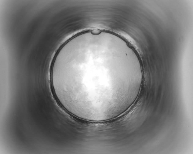 X0000095681335200802051243