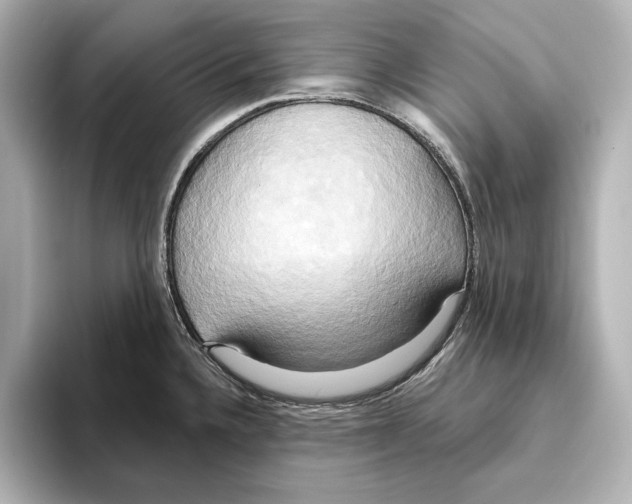 X0000095681336200802051243