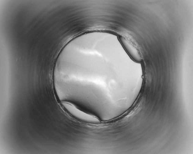 X0000095681337200802051243