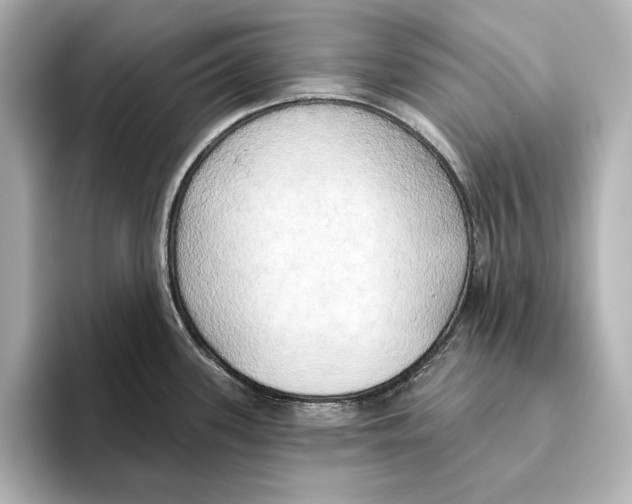 X0000095681339200802051243