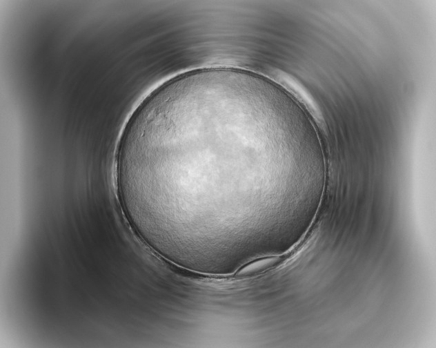 X0000095681340200802051243