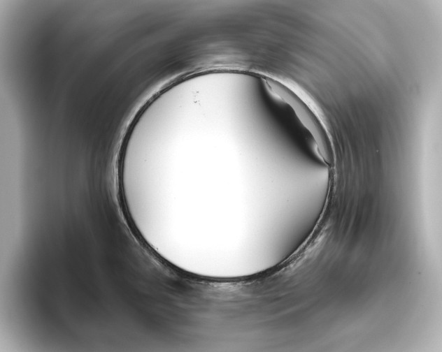 X0000095681341200802051243