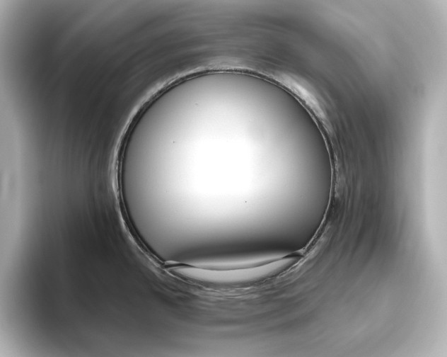 X0000095681342200802051243