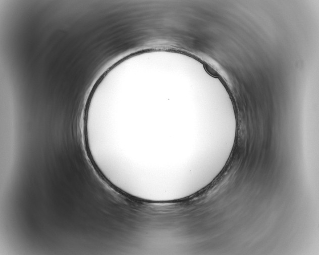 X0000095681343200802051243