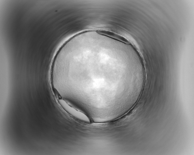 X0000095681344200802051243