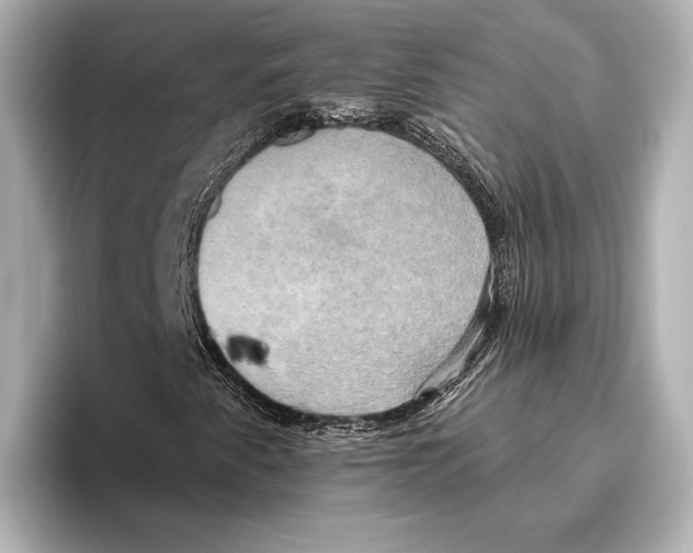 X0000095681345200802051243