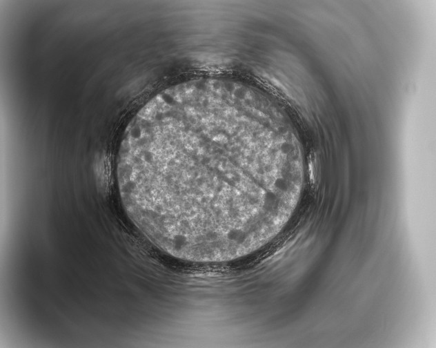 X0000095681347200802051243