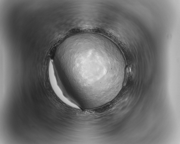 X0000095681348200802051243