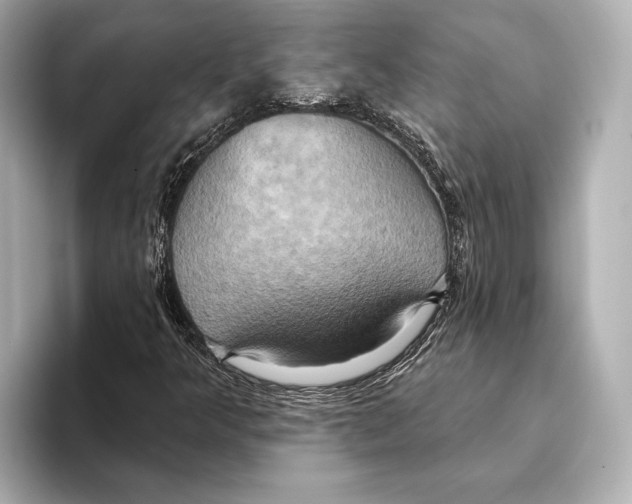 X0000095681349200802051242