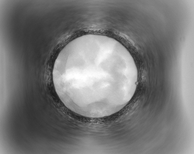 X0000095681350200802051242