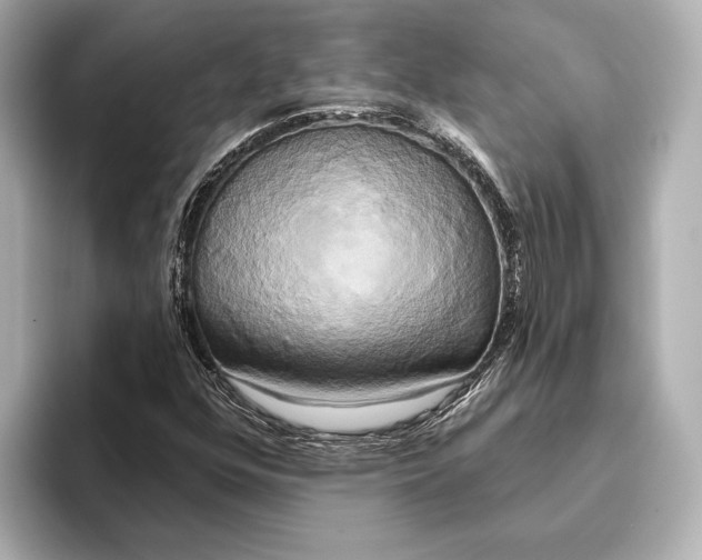 X0000095681352200802051242