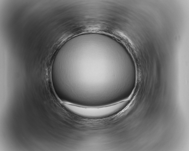 X0000095681353200802051242