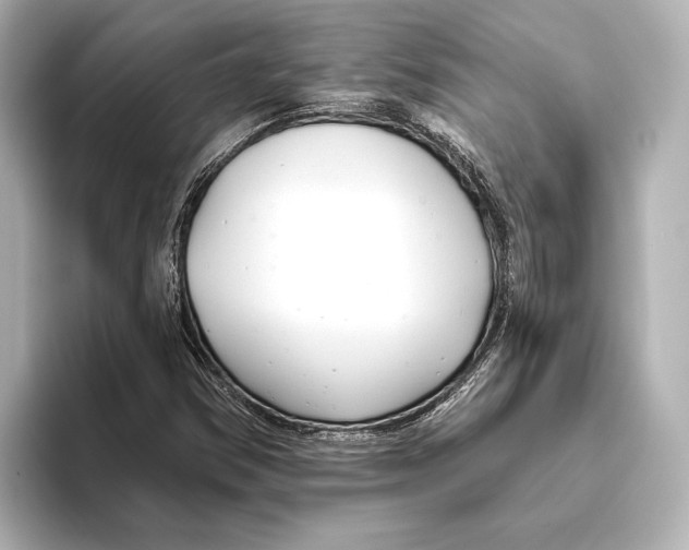 X0000095681354200802051242